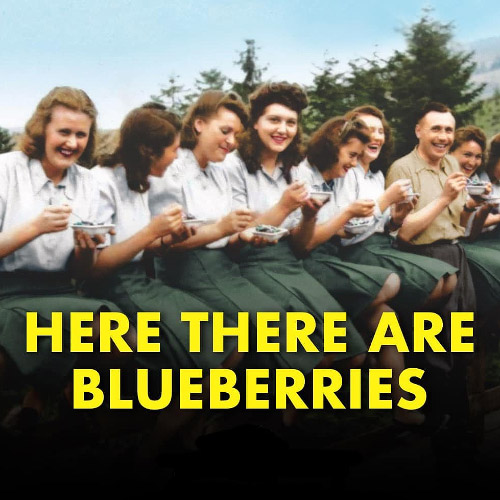 blueberries